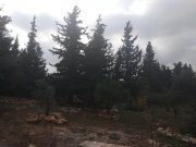 Gavalochori Blick auf Wald und Landschaft auf Kreta Grundstück kaufen